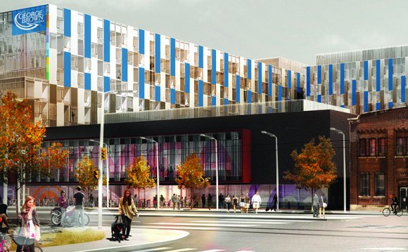 Web Design courses Toronto