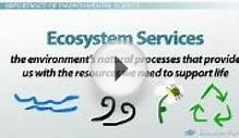 What is Environmental Science? - Definition and Scope of